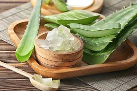 Organic Soap